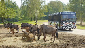 Voorjaar in de Efteling en Beekse Bergen