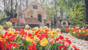 Efteling vlakbij ons hotel
