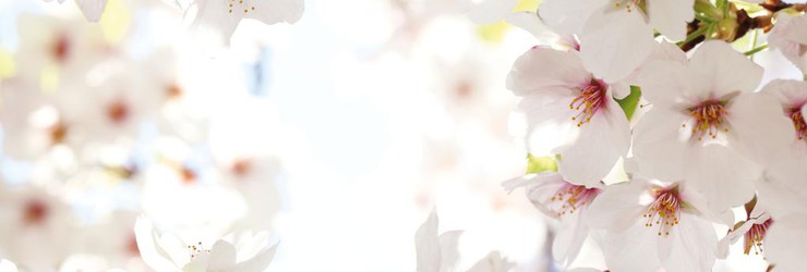 pinksterbrunch 9 juni