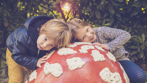 Efteling en Beekse Bergen