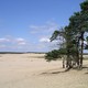 Loonse und Drunense Duinen