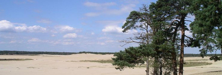  Loonse & Drunense Duinen