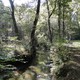 zone piétonne: Gorp en Roovert