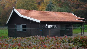 paardenstalling