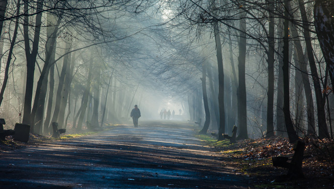 hiking in Holland