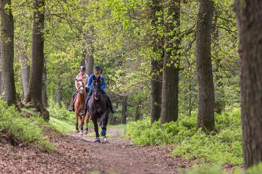 Ruiter-arrangement Brabant