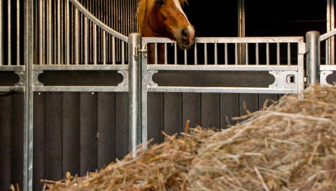 Rider package Brabant