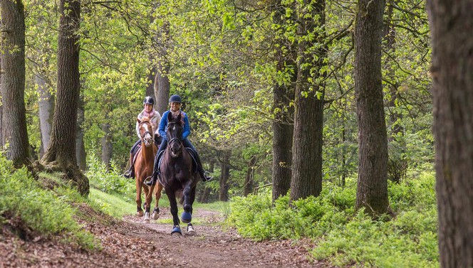 Reiter Paket Brabant