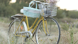 Fiets arrangement