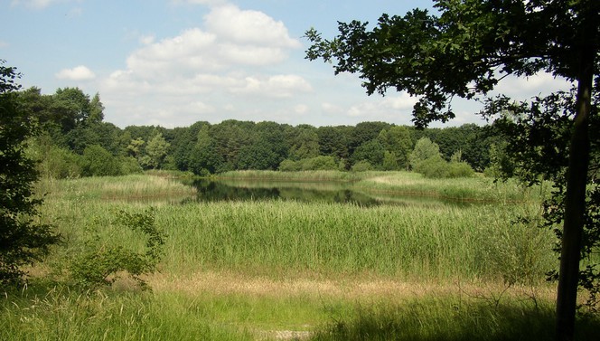 hotel in een mooie groene omgeving