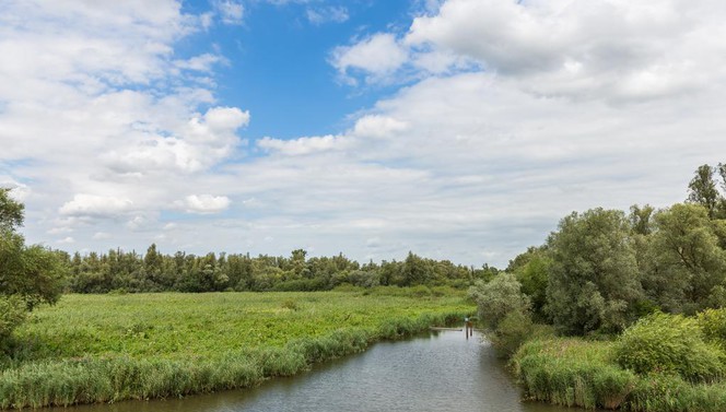 Wandelen in Brabant arrangement