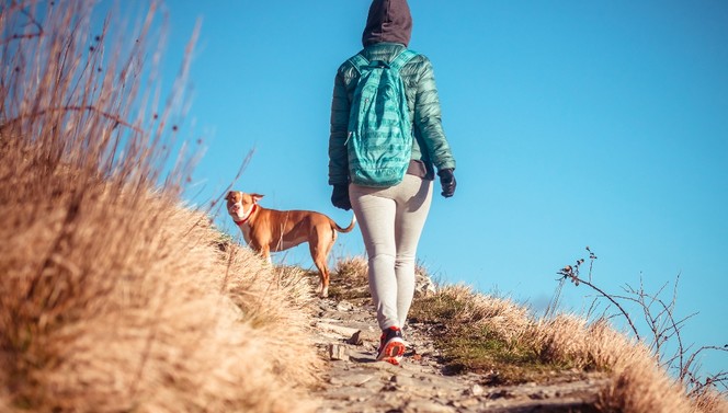 wandelen in Brabant