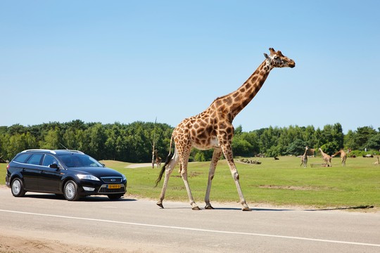 Forfait parcs à attractions