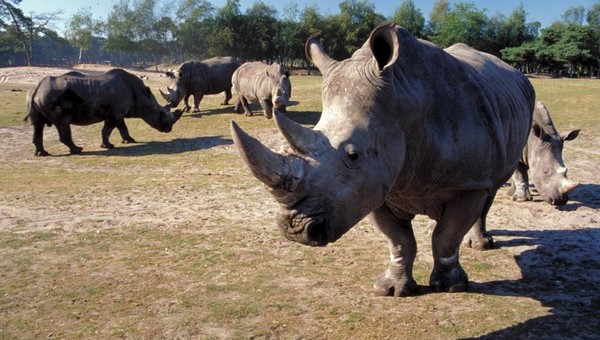 Afbeeldingsresultaat voor beekse bergen