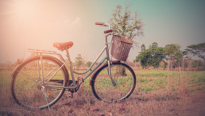 cycling in the Netherlands