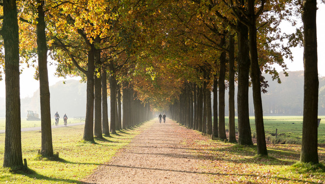 Heerlijke Herfst 