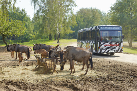 Beekse Bergen