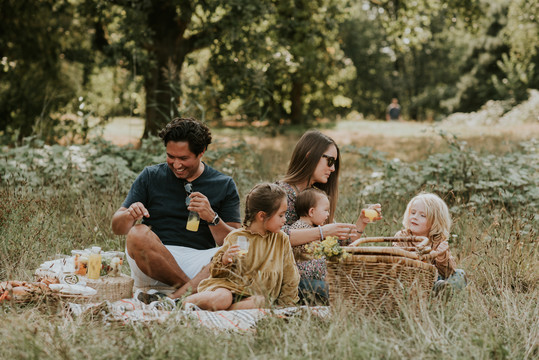 Children's play forest