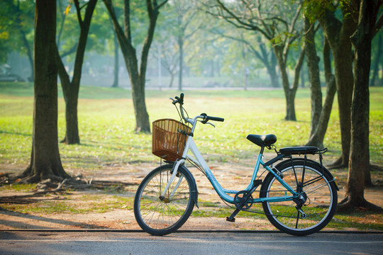 Rent a bike