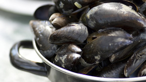 large choice of culinary options