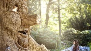 Van der Valk Efteling